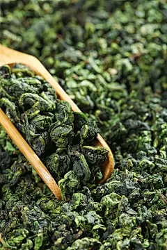 浩瀚商品交易中心下载：菠菜保留技术的要点