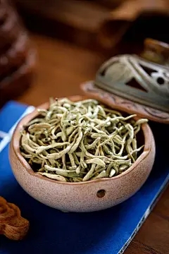 草莓xiyin也是阳光阳光的植物