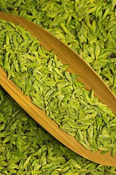 荷兰豆何时播种