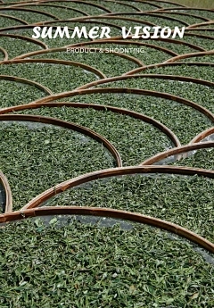 脂肪的正常体温，猪的低温急救法