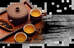 蘑菇属于哪种植物类型