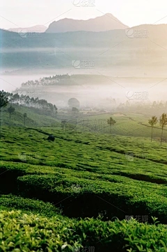 花晒伤的表现是什么？