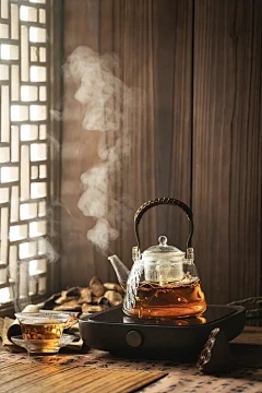 细菌疾病是否有良好的预防和治疗剂？