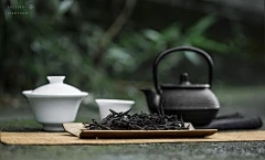 浩瀚商品和龙藏茶·小金砖app下载：莫朗喜欢脂肪吗？您喜欢什么肥料？