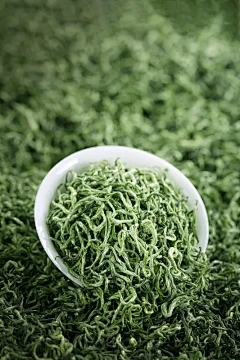 藏茶·润云交易中心怎么赚钱：白茶最好的时间是多长时间？