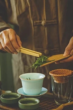 浩瀚商品现货平台：我如何来自百合种子