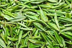 花椰菜的种子是什么样的？