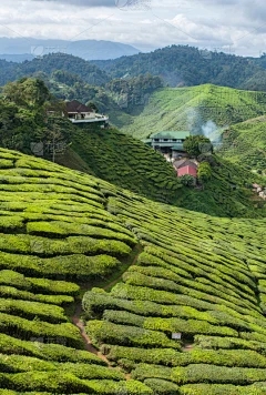 浩瀚商品现货交易平台合法吗：糟糕，莫米·史密斯塔（Momi Smecta