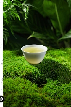 浩瀚商品金融交易平台：芙蓉花的繁殖方法和预防措施是什么