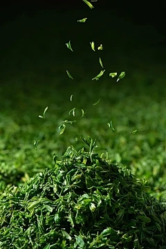 藏茶·润云交易中心位置：如何正确使用葡萄糖粉作为牛和绵羊，它扮演什么角色？