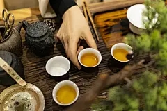 祝贺花语是一朵祝贺的花