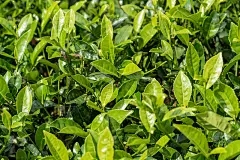 桂林浩瀚商品交易：象征意义的象征是什么意思？