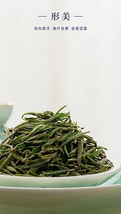 李子代表的人以及李子开花时何时打开