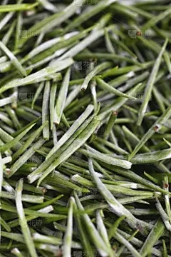 规范浩瀚商品交易中心：苔藓和苔藓之间的区别