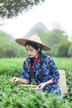 红薯的危害是什么？如何防止红薯？