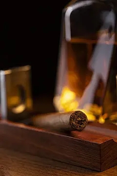 花生是蕨类植物吗？