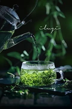 番茄番茄高晶种植技术的主要要点