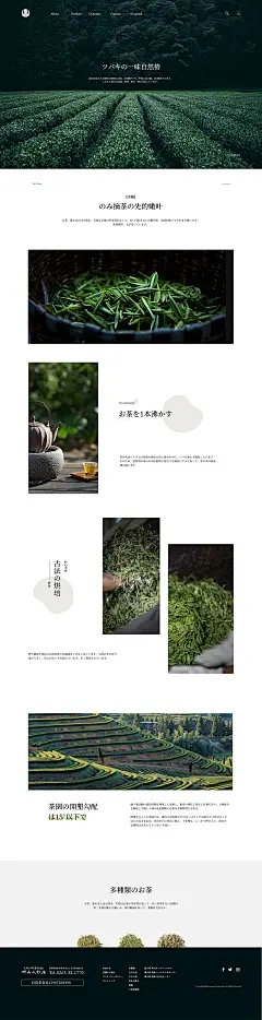 浩瀚商品交易中心现货平台：茶树可以长大多大