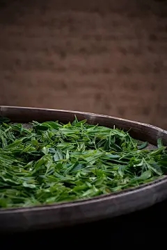 节目的野餐周期是什么？