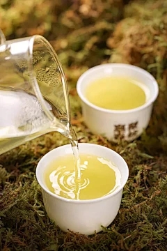 茉莉喜欢Yin或Xiyin