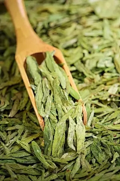 茉莉花放置了客厅风水？