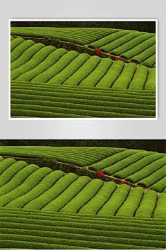 红水倒水多长时间？