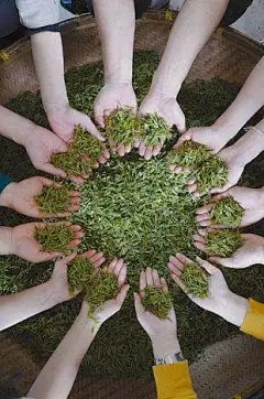 浩瀚商品品牌代理：致富是冷的吗？