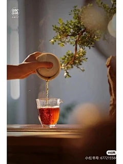 芬芳的木制盆景的耕种方法和预防措施是什么