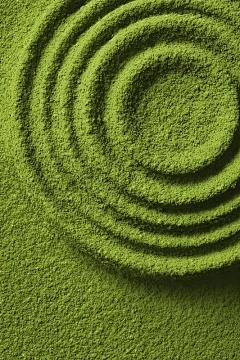 苹果在较高海拔地区种植的特征是什么？苹果树可以悬挂几年