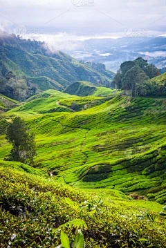 浩瀚商品交易中心漳州：花生可以服用营养药物后几天使用花生吗？除草剂可以与农药混合吗？
