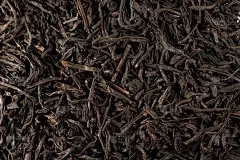 湖北蕲春藏茶·润云交易：结合香吗？繁殖方法和维护点