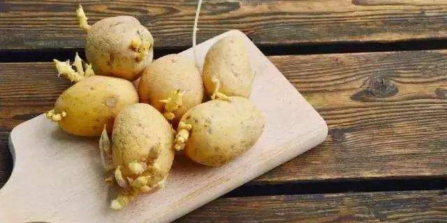 2025年11月15日农业农村部玉米供需形势分析报告：浩瀚购销商城现货交易平台是否合法