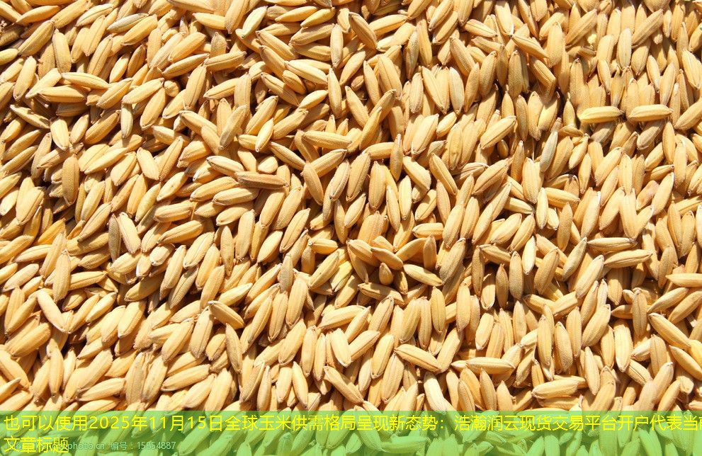 2025年11月15日全球玉米供需格局呈现新态势：浩瀚润云现货交易平台开户