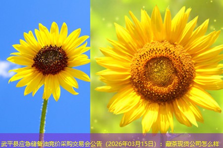 武平县应急储备油竞价采购交易会公告（2026年03月15日）：藏茶现货公司怎么样