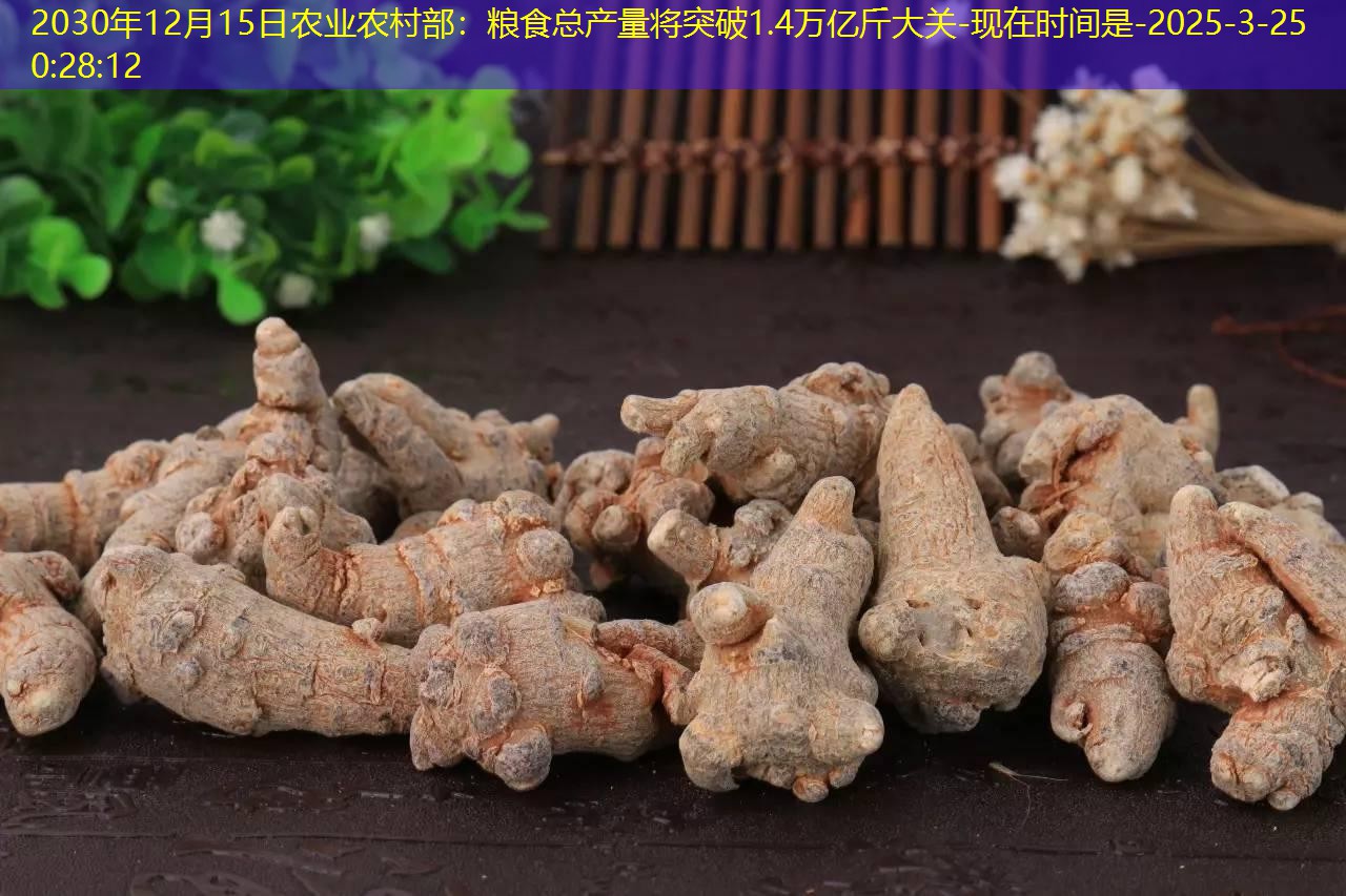 2030年12月15日农业农村部：粮食总产量将突破1.4万亿斤大关