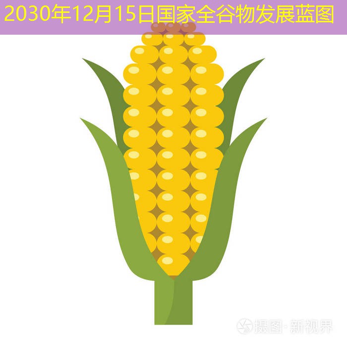 2030年12月15日国家全谷物发展蓝图
