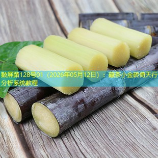 鼓屏路128号01（2026年05月12日）：藏茶小金砖倚天行情分析系统教程