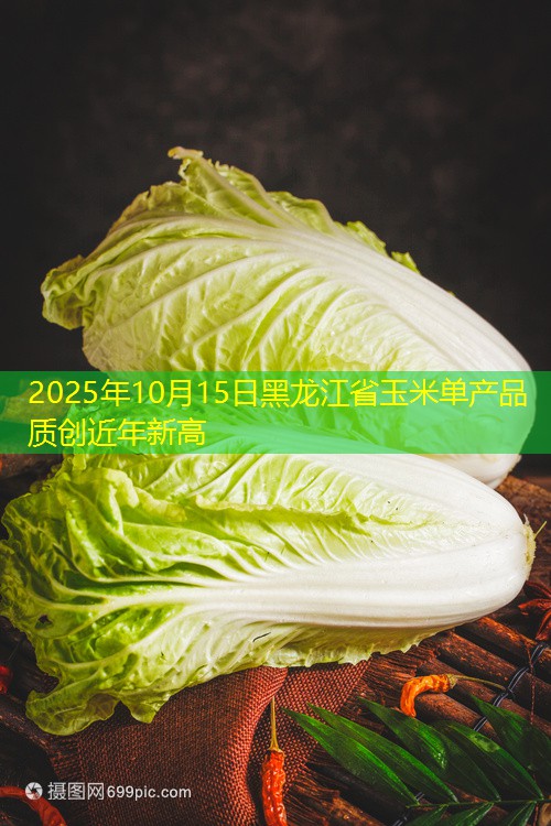2025年10月15日黑龙江省玉米单产品质创近年新高
