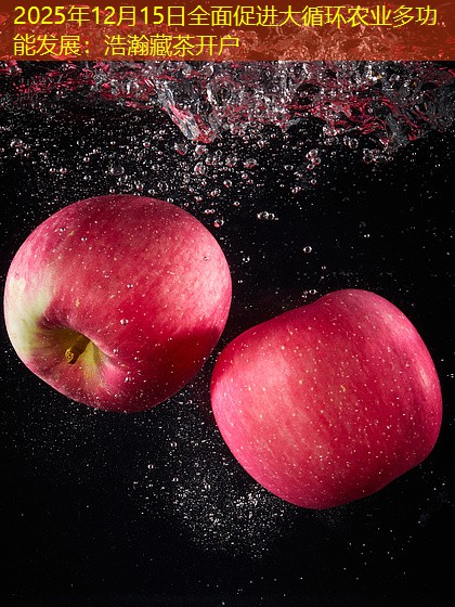 2025年12月15日全面促进大循环农业多功能发展：浩瀚藏茶开户