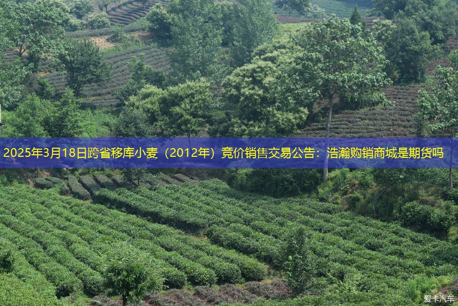 2025年3月18日跨省移库小麦（2012年）竞价销售交易公告：浩瀚购销商城是期货吗