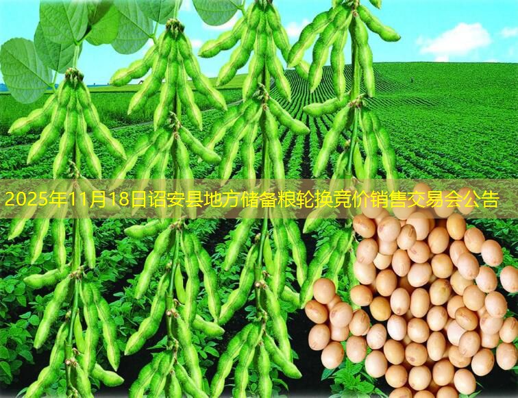 2025年11月18日诏安县地方储备粮轮换竞价销售交易会公告