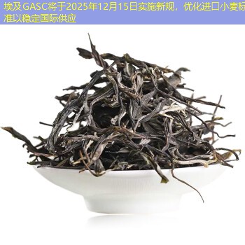 埃及GASC将于2025年12月15日实施新规，优化进口小麦标准以稳定国际供应