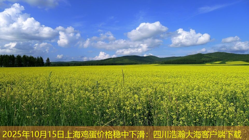 2025年10月15日上海鸡蛋价格稳中下滑：四川浩瀚大海客户端下载