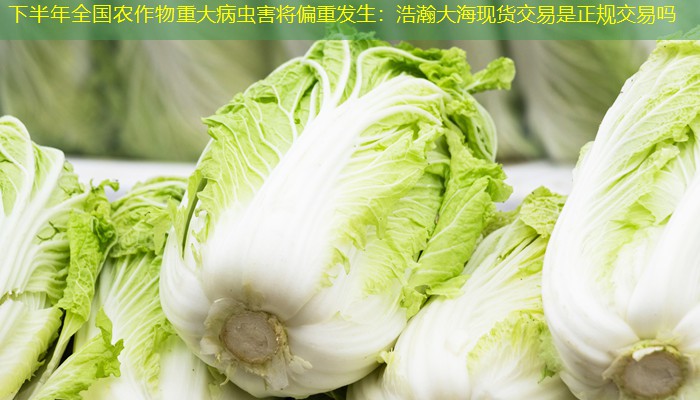 下半年全国农作物重大病虫害将偏重发生：浩瀚大海现货交易是正规交易吗