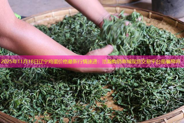 2025年11月18日辽宁鸡蛋价格最新行情速递：浩瀚购销商城现货交易平台是骗局吗