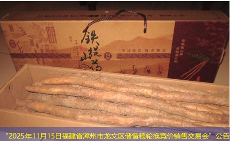 “2025年11月15日福建省漳州市龙文区储备粮轮换竞价销售交易会”公告