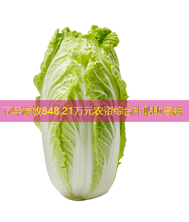 万年发放848.21万元农资综合补贴助春耕