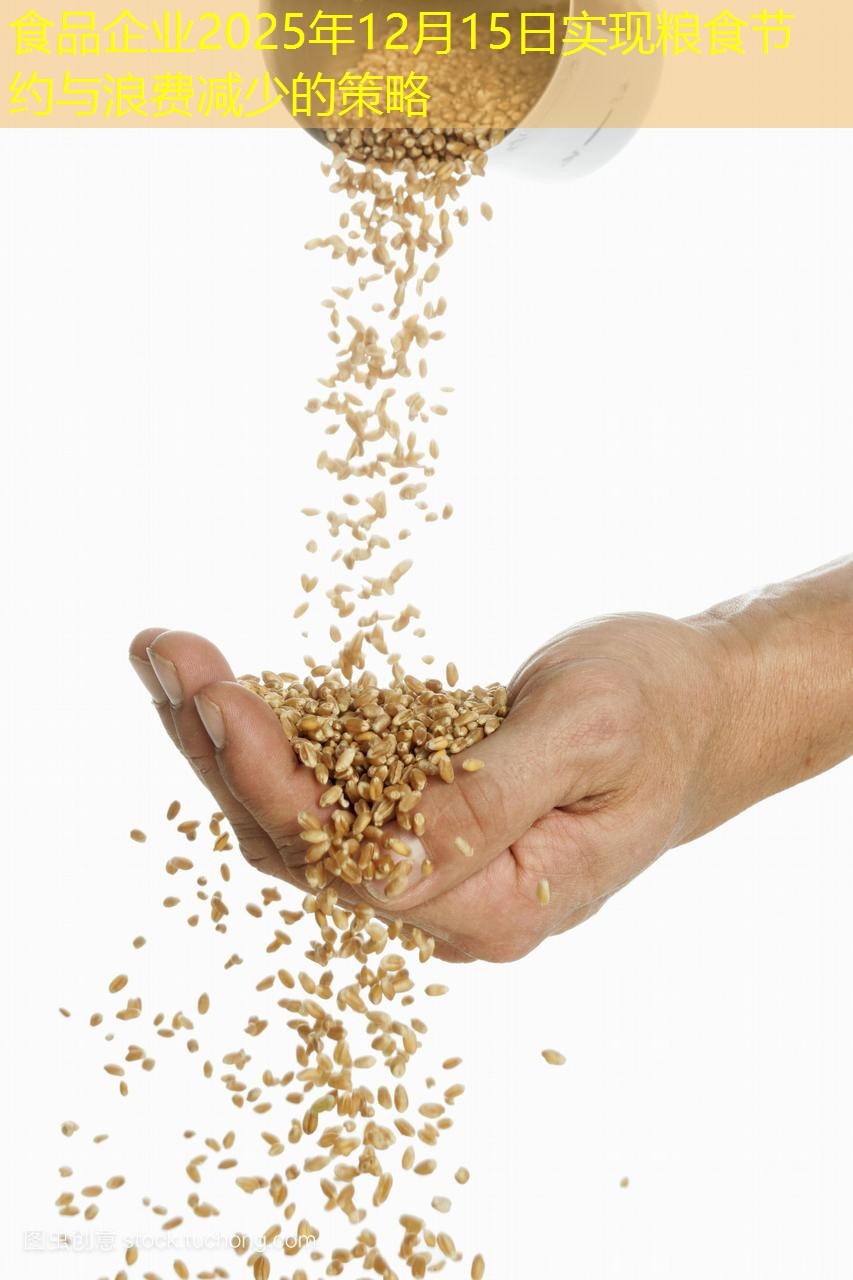 食品企业2025年12月15日实现粮食节约与浪费减少的策略