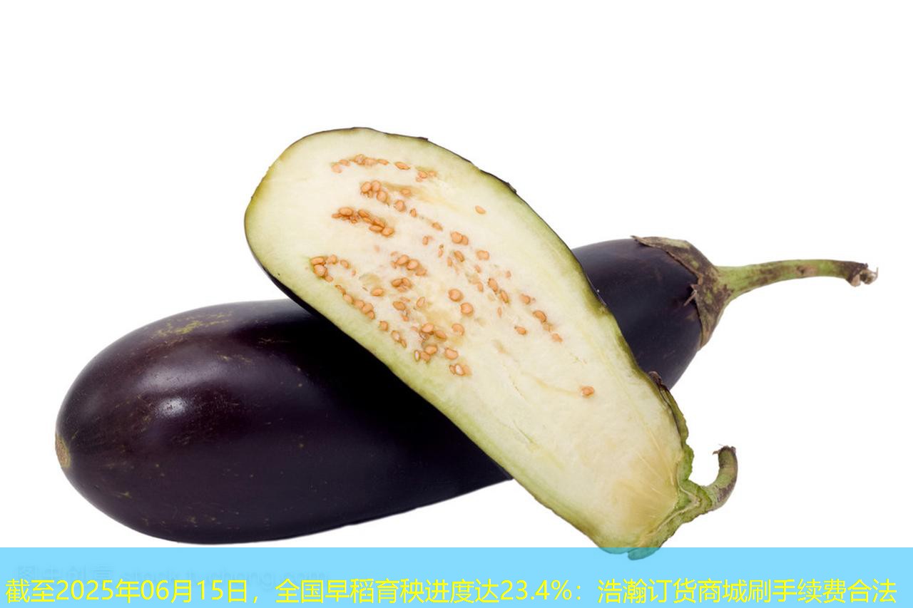 截至2025年06月15日，全国早稻育秧进度达23.4%：浩瀚订货商城刷手续费合法