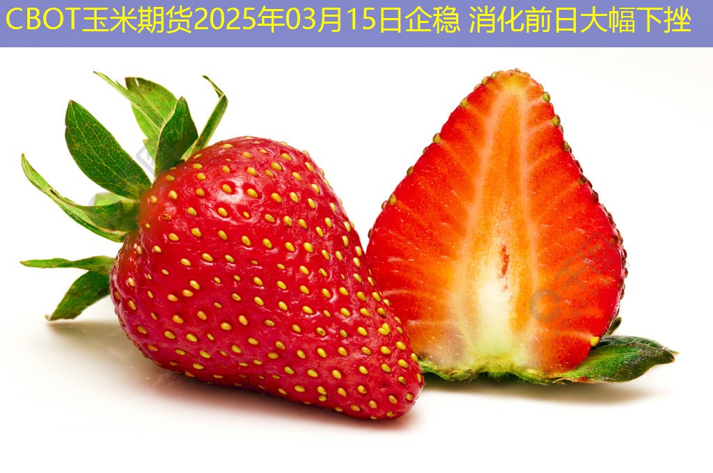 CBOT玉米期货2025年03月15日企稳 消化前日大幅下挫